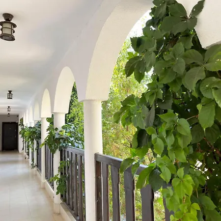 комплекс * Свети-Влас